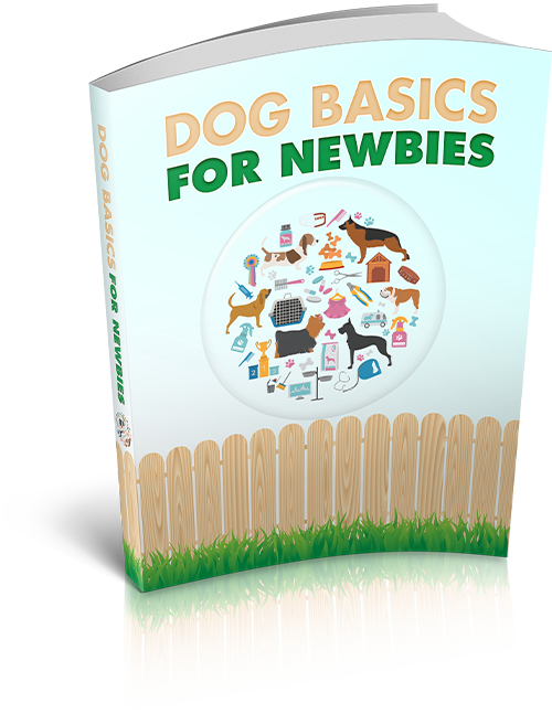 Dog Basics For Newbies Ebook